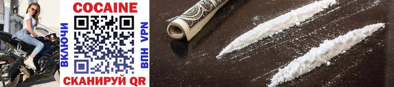 цена наркотик  площадка какой сайт  COCAIN FishScale  Нововоронеж 