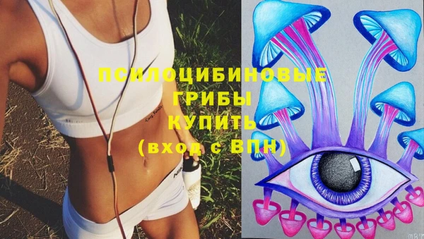 сатива Алзамай