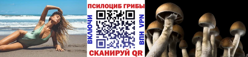 Галлюциногенные грибы прущие грибы  Нововоронеж 