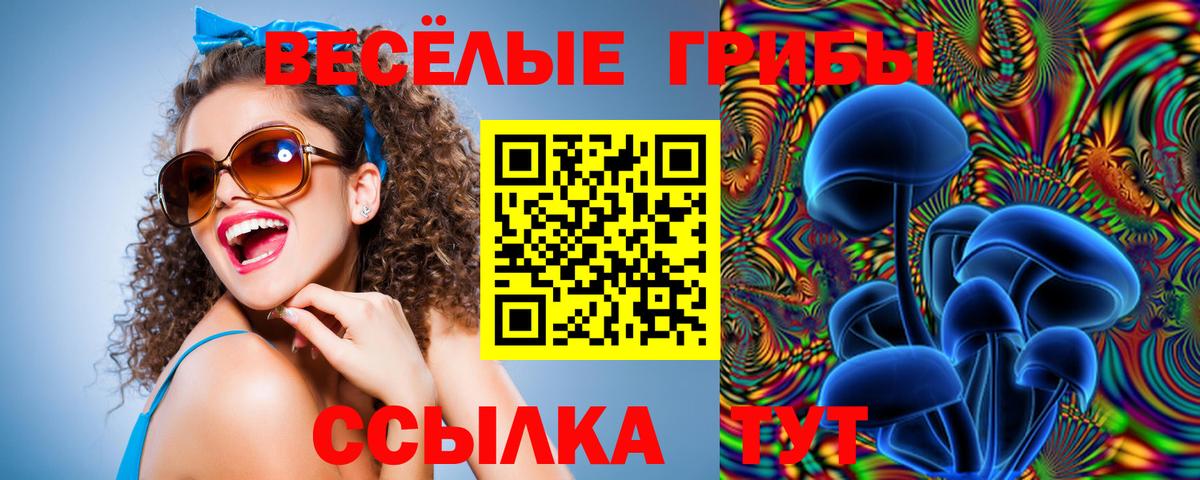 Галлюциногенные грибы MAGIC MUSHROOMS  Вход с VPN  Нововоронеж 