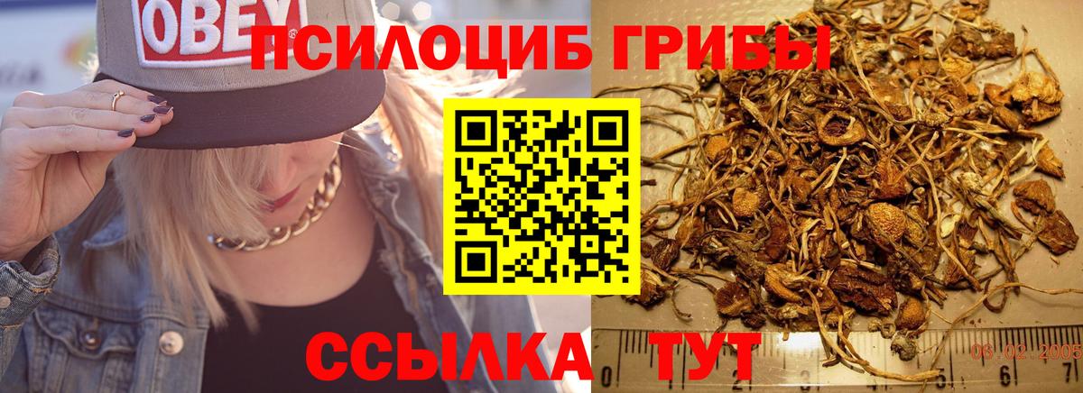 Галлюциногенные грибы ЛСД Нововоронеж